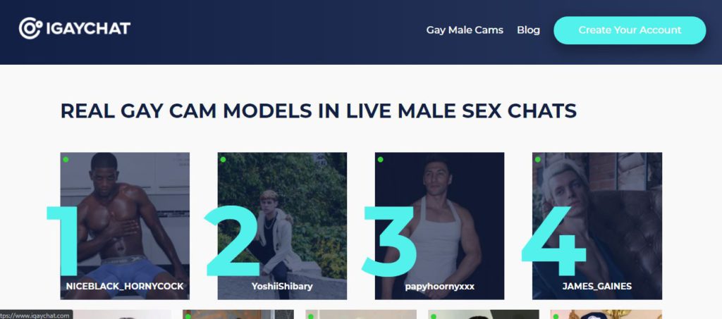 IGayChat anal sex cam guys